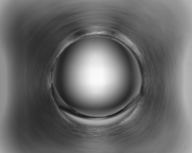 X0000098091377200804110954