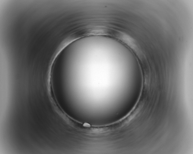 X0000098091378200804110954
