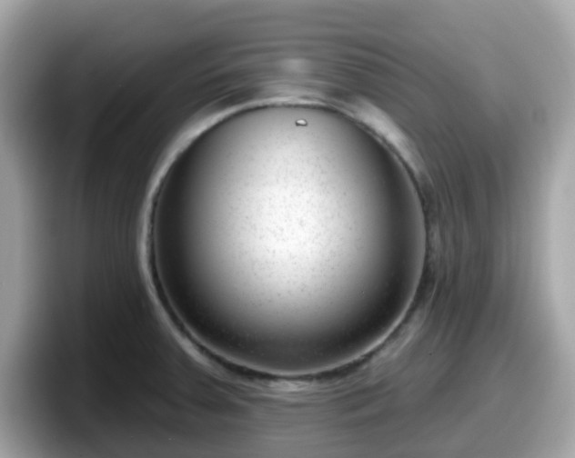 X0000098091379200804110954
