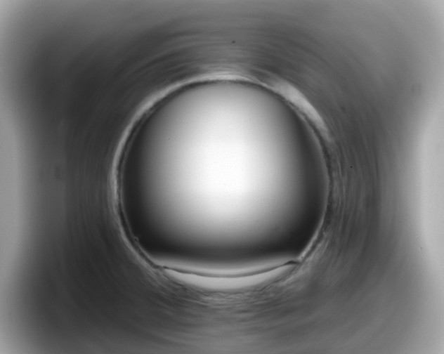 X0000098091380200804110954