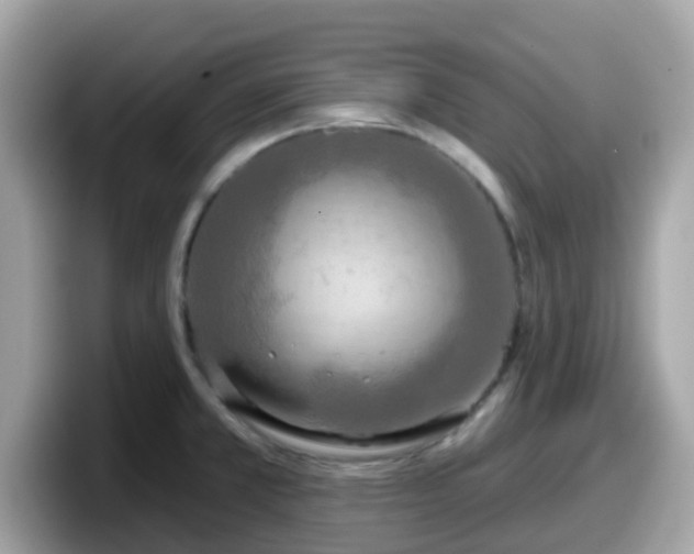 X0000098091381200804110954