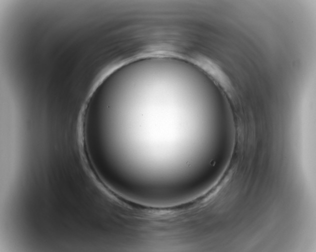 X0000098091382200804110954