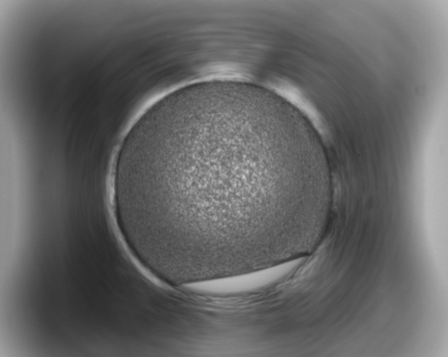 X0000098091383200804110954