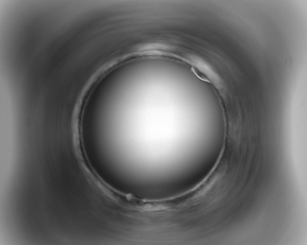 X0000098091384200804110954