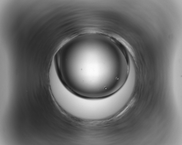 X0000098091385200804110954