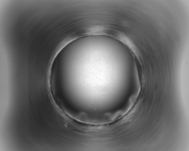 X0000098091386200804110954