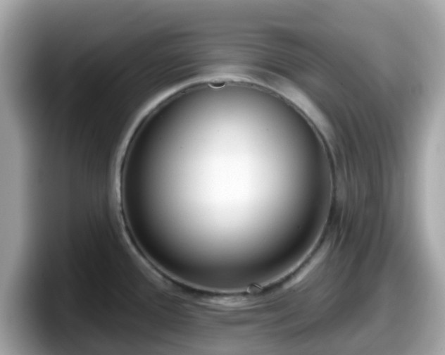 X0000098091388200804110954