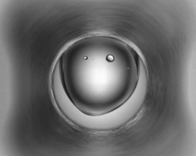 X0000098091389200804110954