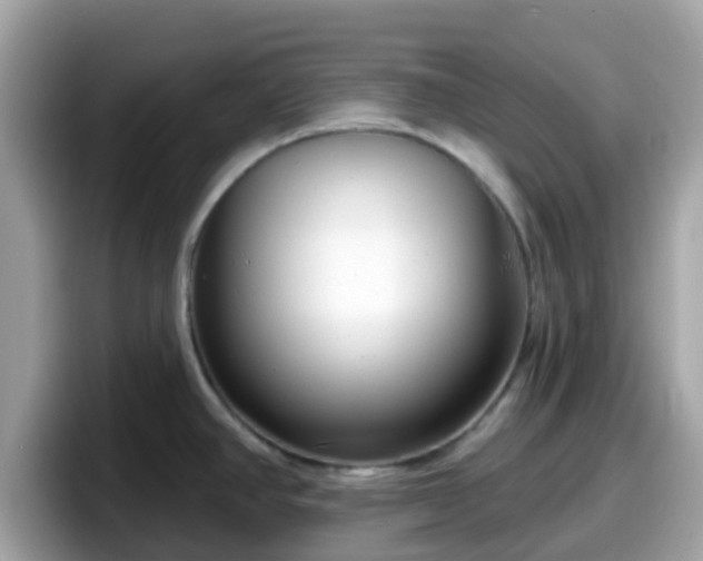 X0000098091390200804110954
