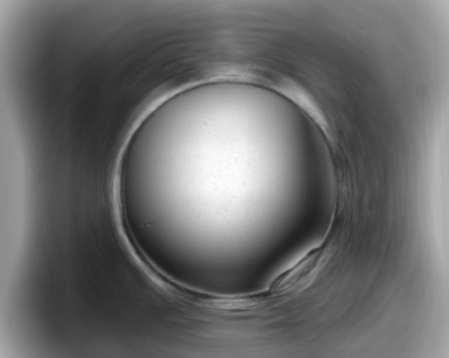 X0000098091391200804110954