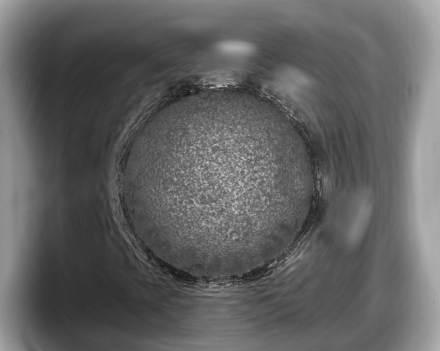 X0000098091393200804110953
