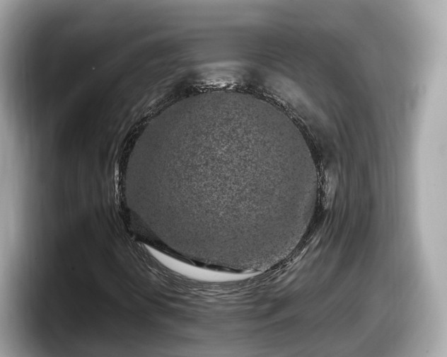 X0000098091394200804110953