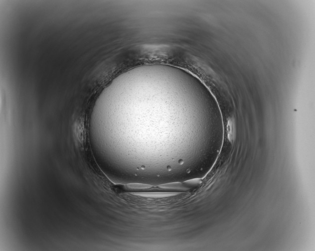 X0000098091395200804110953