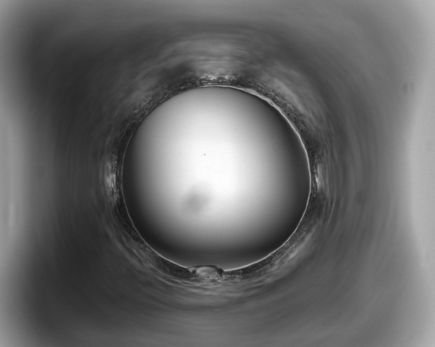 X0000098091396200804110953