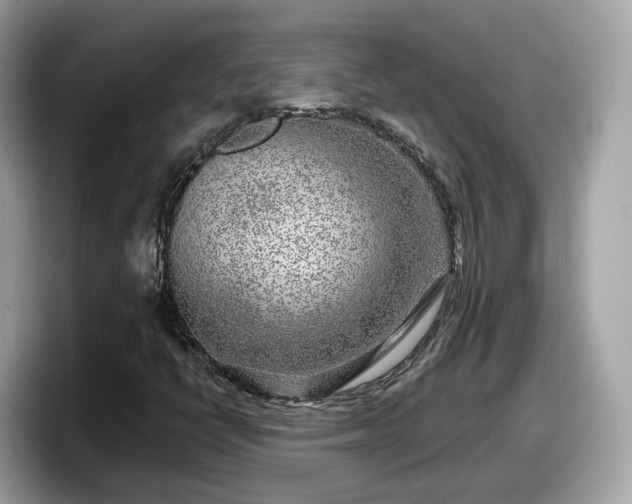 X0000098091398200804110953