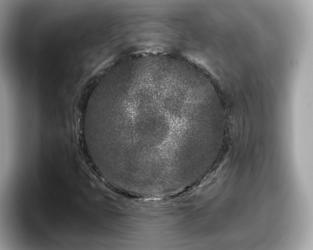 X0000098091399200804110953