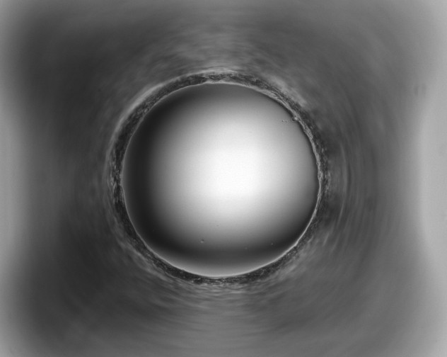 X0000098091400200804110953