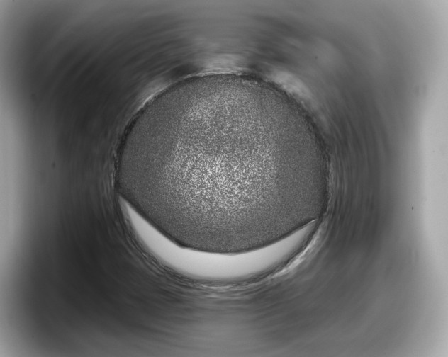 X0000098091401200804110953