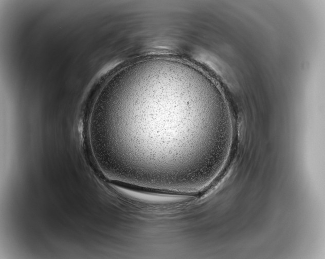 X0000098091402200804110953