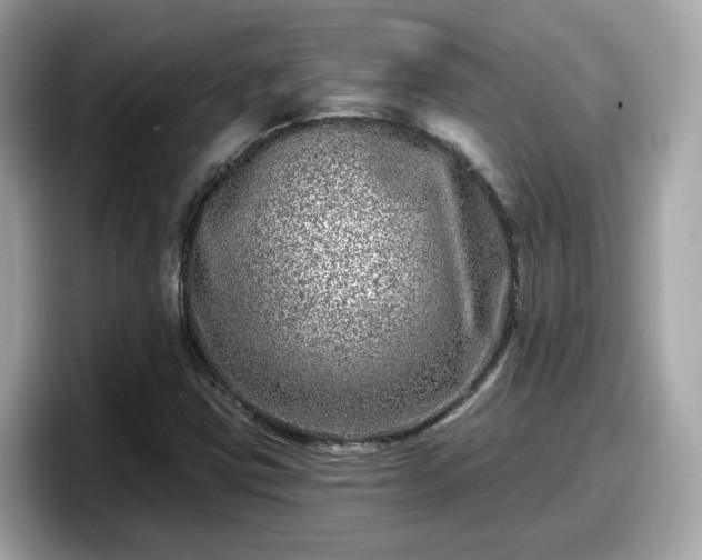 X0000098091403200804110953