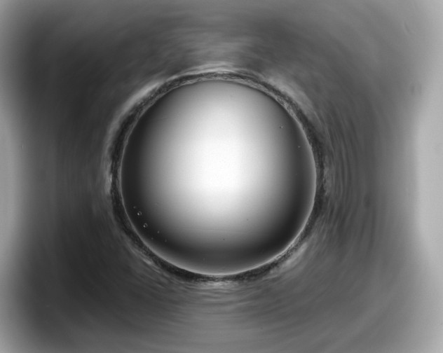 X0000098091406200804110953