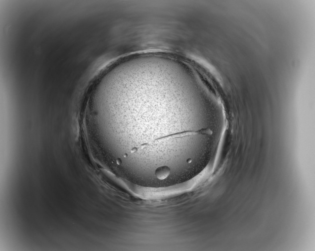 X0000098091407200804110953