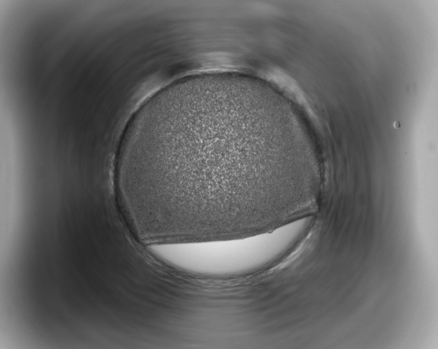 X0000098091409200804110953