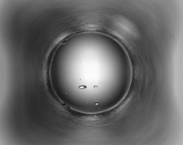 X0000098091410200804110953
