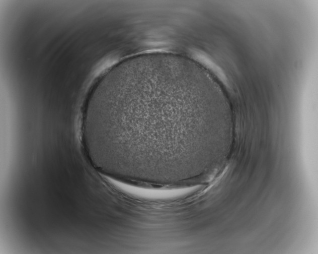 X0000098091411200804110953