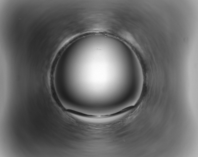X0000098091412200804110953