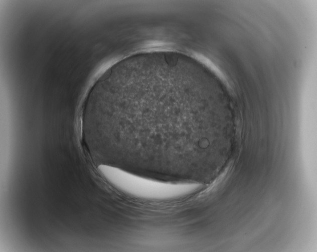 X0000098091413200804110953