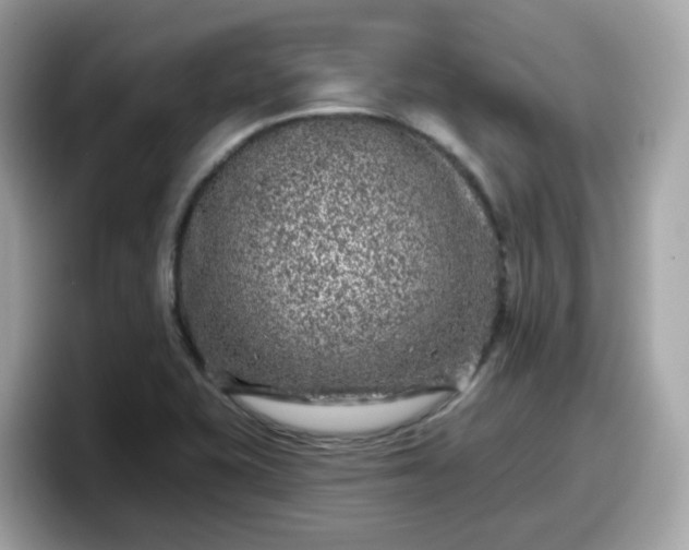 X0000098091415200804110953