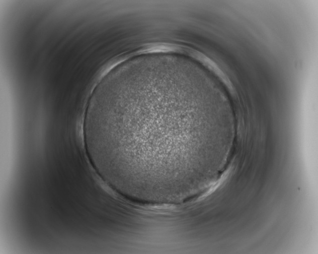 X0000098091417200804110953