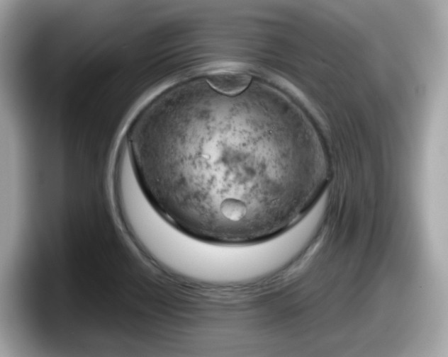 X0000098091418200804110953