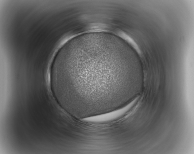 X0000098091419200804110953