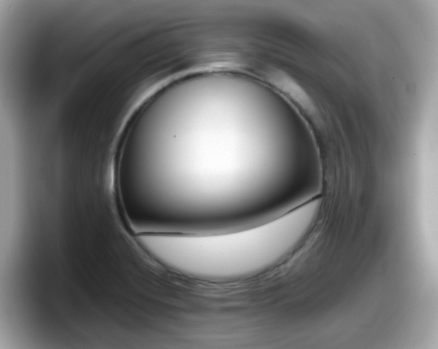 X0000098091420200804110953
