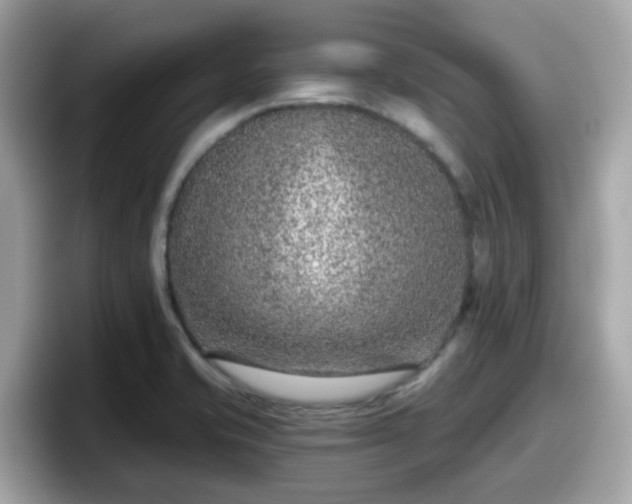 X0000098091421200804110953