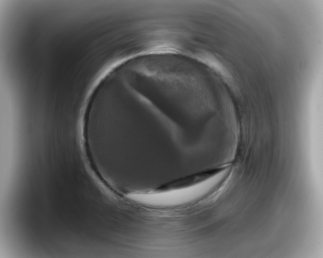 X0000098091422200804110953
