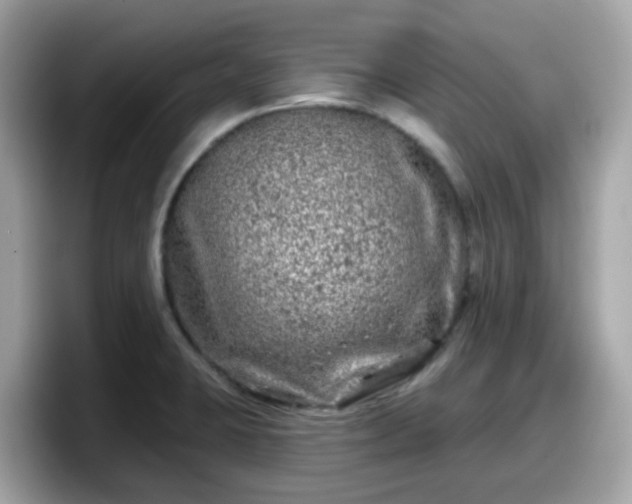 X0000098091423200804110953