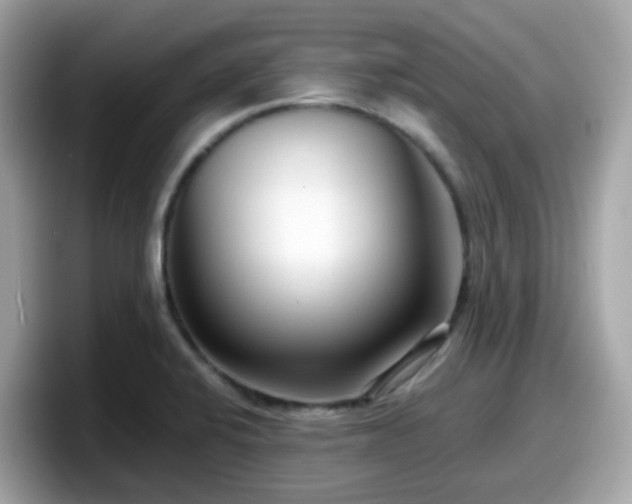 X0000098091424200804110953