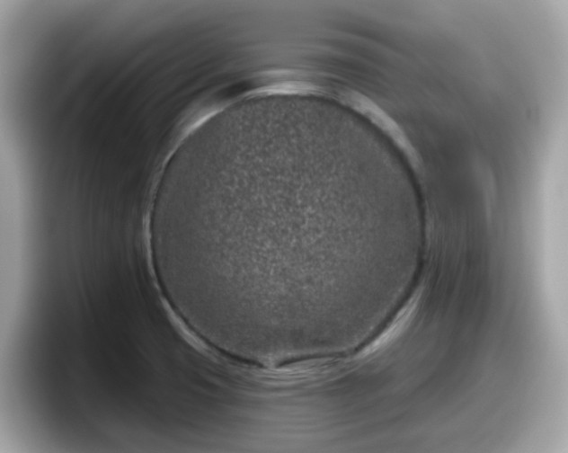 X0000098091425200804110953