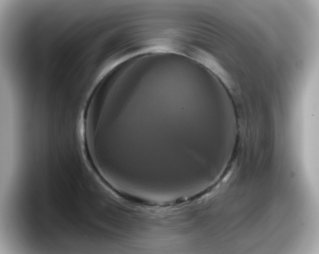 X0000098091428200804110953