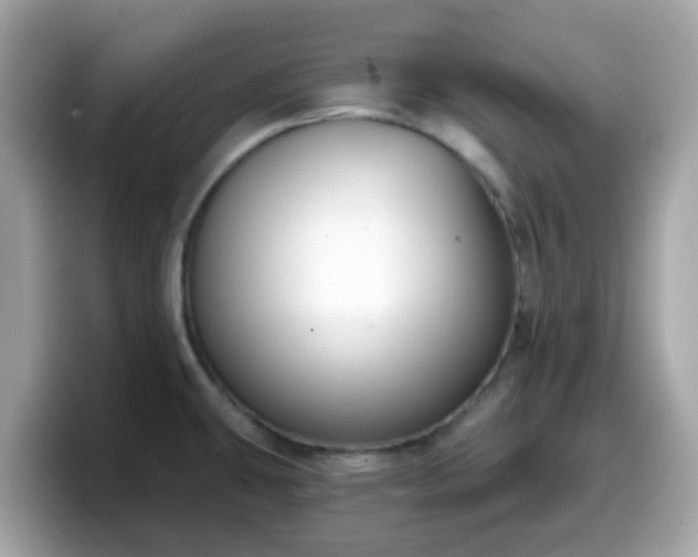 X0000098091431200804110953