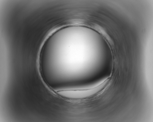 X0000098091432200804110953