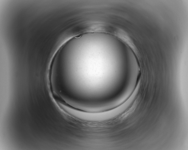X0000098091434200804110954