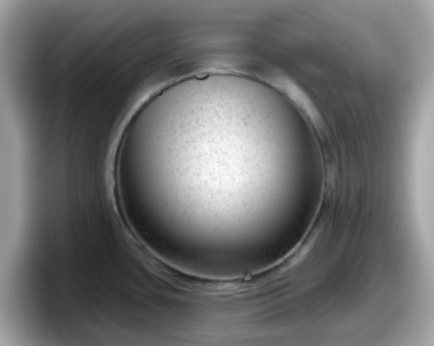 X0000098091435200804110954