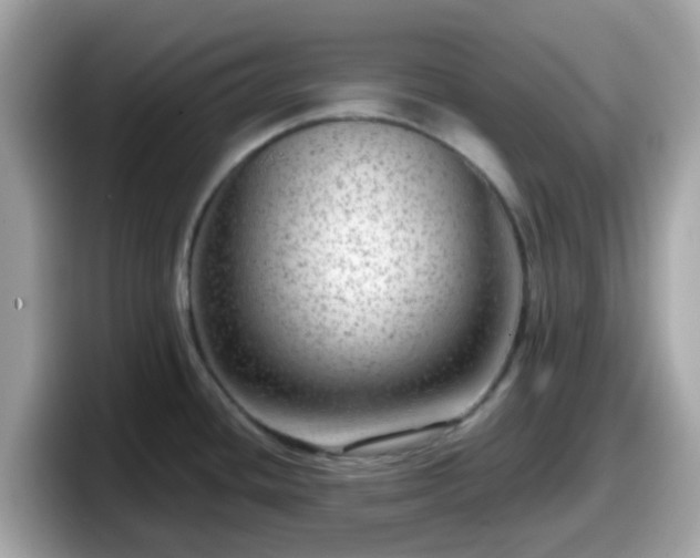 X0000098091436200804110954