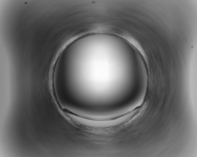 X0000098091437200804110954