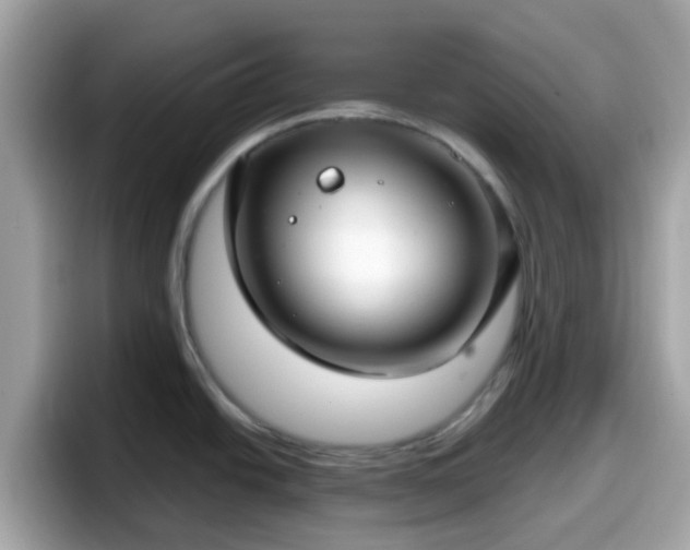 X0000098091438200804110954