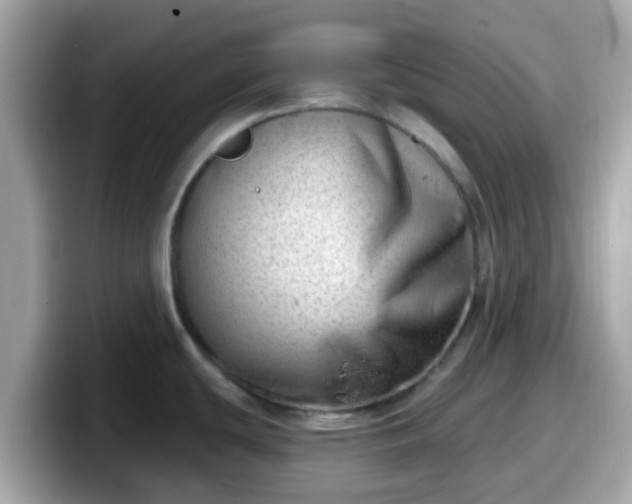 X0000098091439200804110954